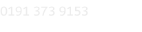 0191 373 9153