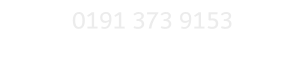 0191 373 9153