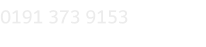 0191 373 9153