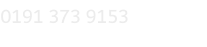 0191 373 9153