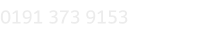 0191 373 9153